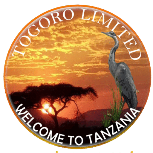 Togoro Tours Limited