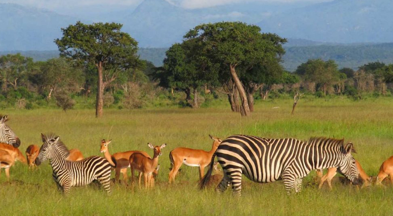 best time to visit Tanzania